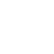 Growing Paper